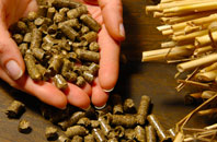 free Handside biomass boiler quotes